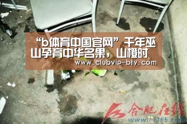 “b体育中国官网”千年巫山孕育中华名果,山橙时代启动新一季巫山脆李预售(图4) b体育中国官网
